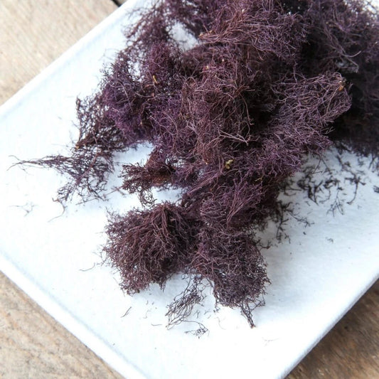 Ocean Truffle - Lofoten Seaweed