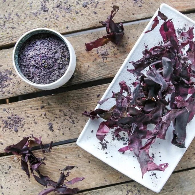 Dulse - Lofoten Seaweed