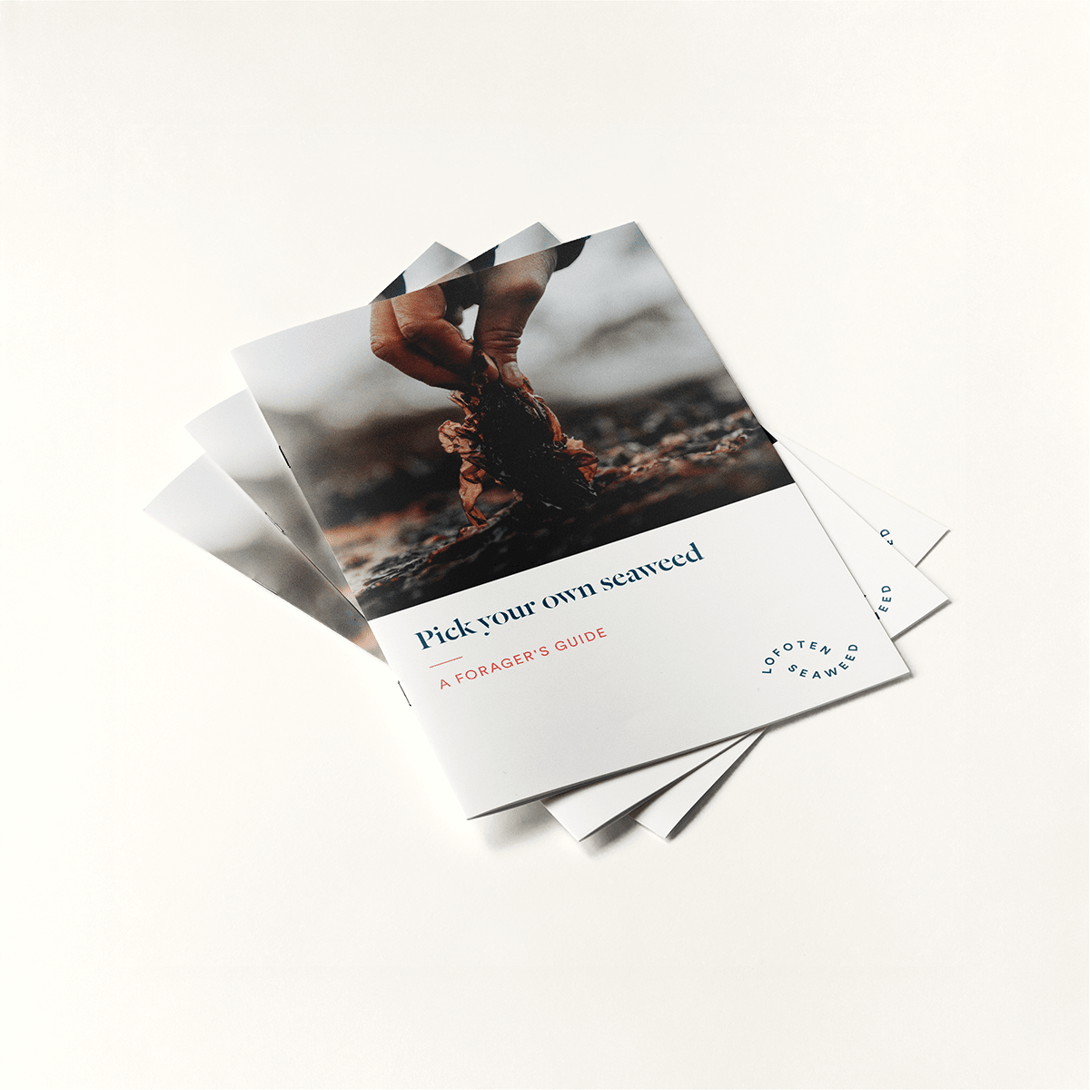 Guide: Pick Your Own Seaweed - Lofoten Seaweed